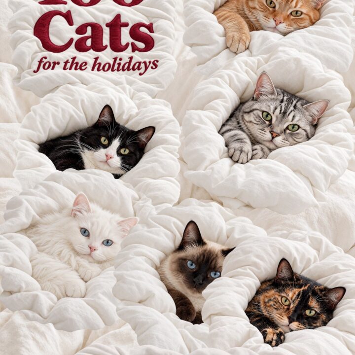 100 CATS FOR THE HOLIDAYS. A Winter Celebration of Beloved Breeds and Everyday Cats
